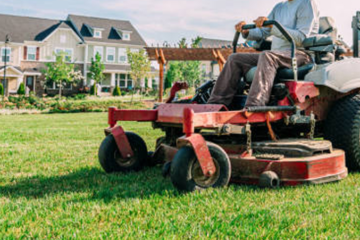 Lawn Mowing
