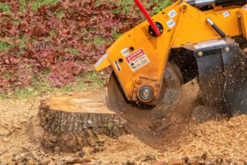 Stump Grinding