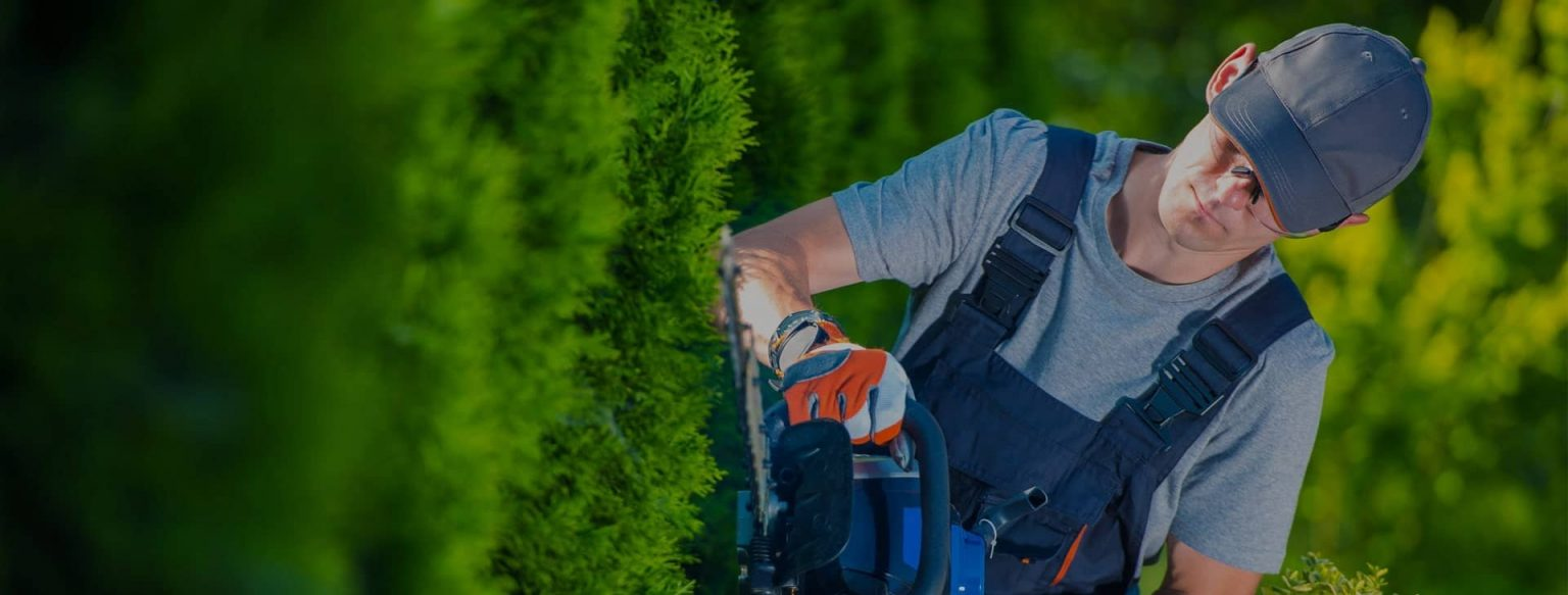 Your lawn and landscape
the way it should be